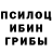 Галлюциногенные грибы Psilocybine cubensis Dmitry Adamenko