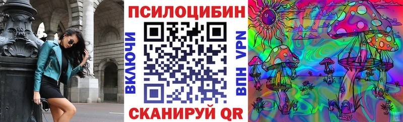 Галлюциногенные грибы Psilocybe  Купить  Дивногорск 